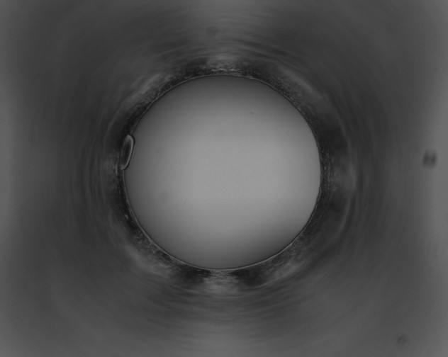 X0000091490603200708301937