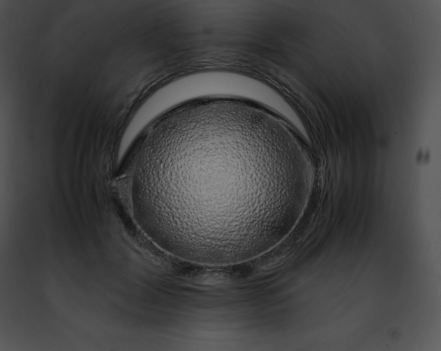 X0000091490604200708301937