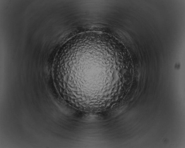 X0000091490607200708301937