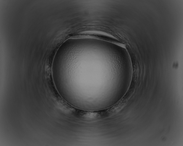 X0000091490609200708301937