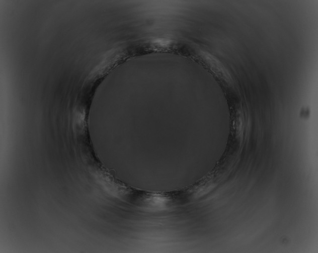 X0000091490610200708301937