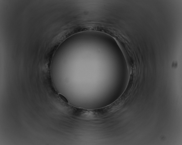 X0000091490611200708301937