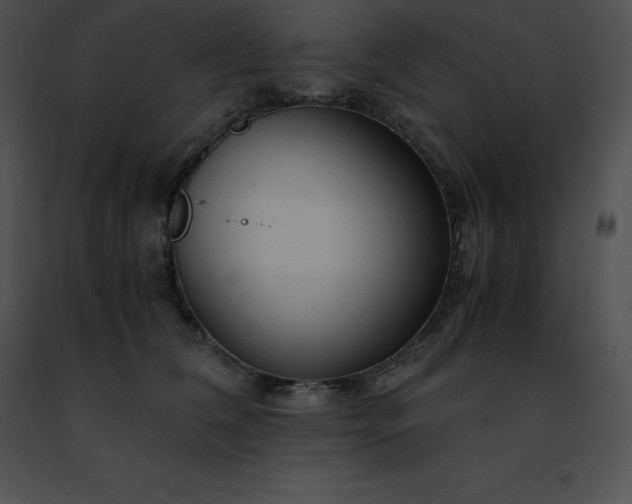 X0000091490612200708301937