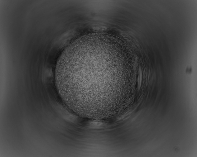 X0000091490614200708301937