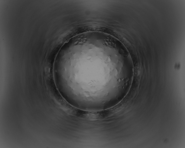 X0000091490615200708301937