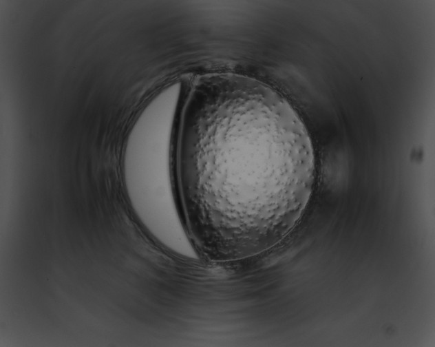 X0000091490616200708301937