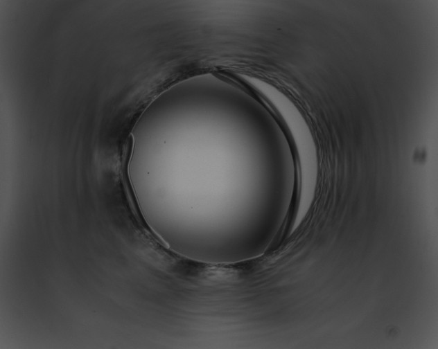 X0000091490617200708301937