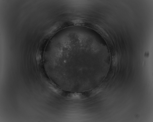 X0000091490618200708301937