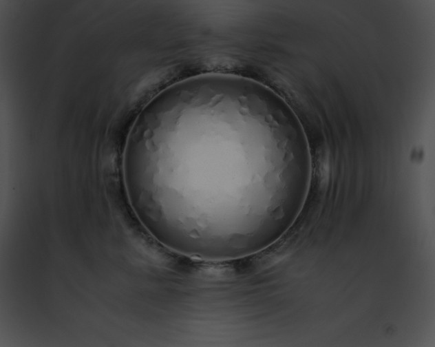 X0000091490619200708301937