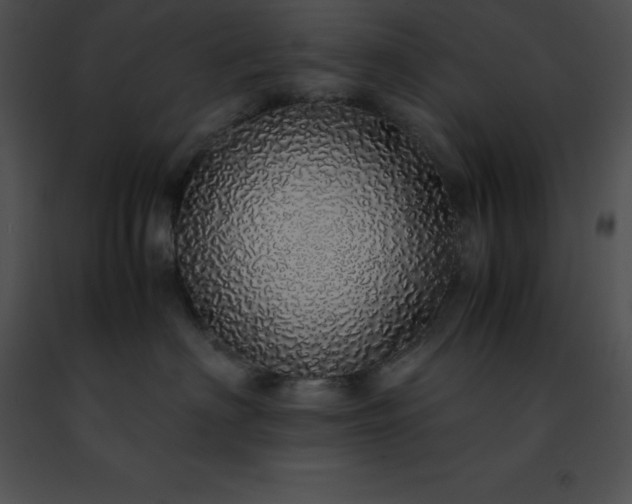 X0000091490622200708301937