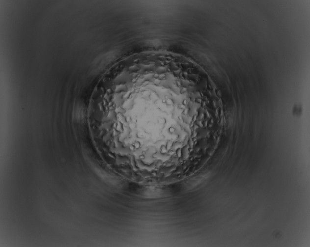 X0000091490623200708301937