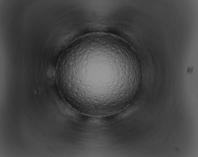 X0000091490624200708301937