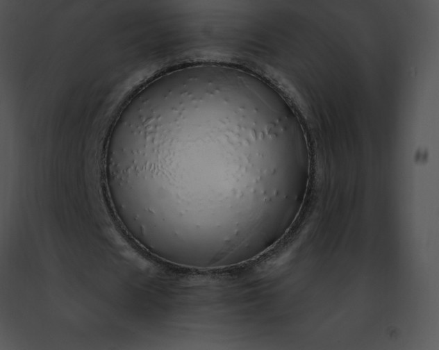 X0000091490625200708301937