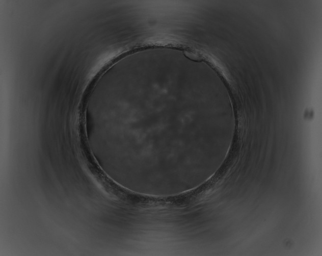 X0000091490626200708301937