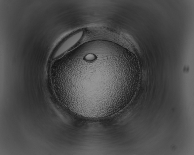 X0000091490628200708301937