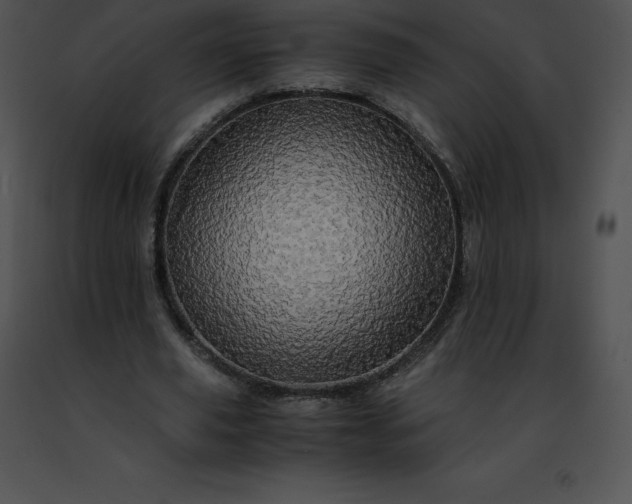 X0000091490629200708301937