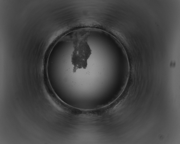 X0000091490630200708301937