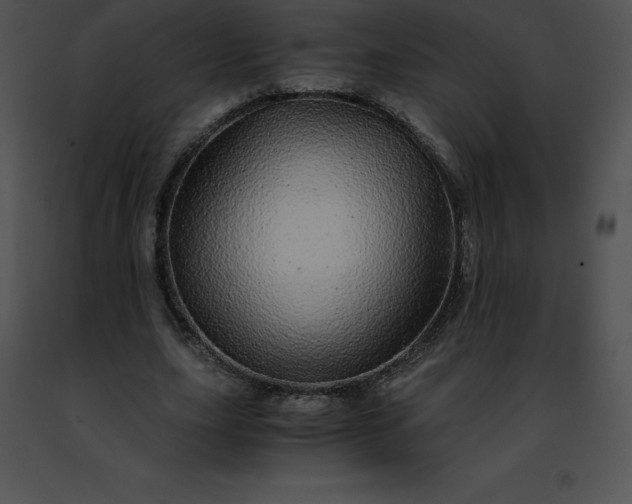 X0000091490631200708301937