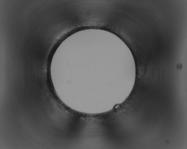 X0000091490632200708301937