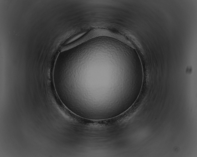 X0000091490633200708301937