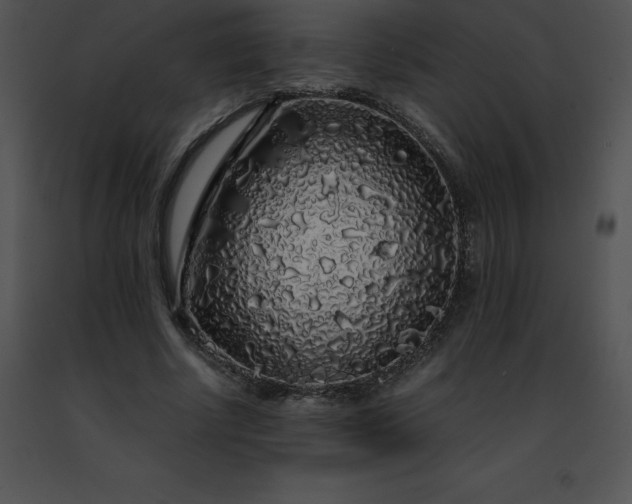 X0000091490634200708301937