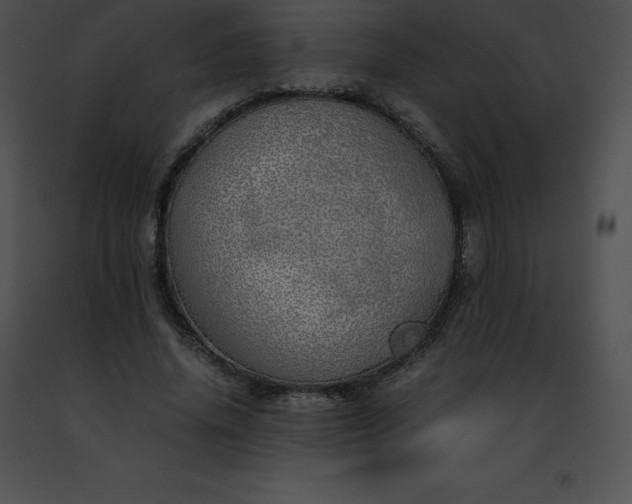 X0000091490636200708301937