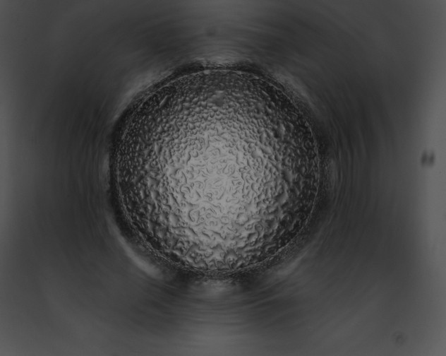 X0000091490638200708301937