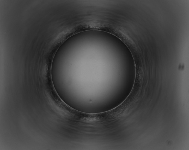 X0000091490639200708301937