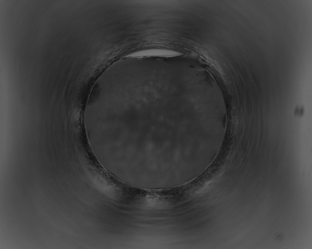 X0000091490641200708301937