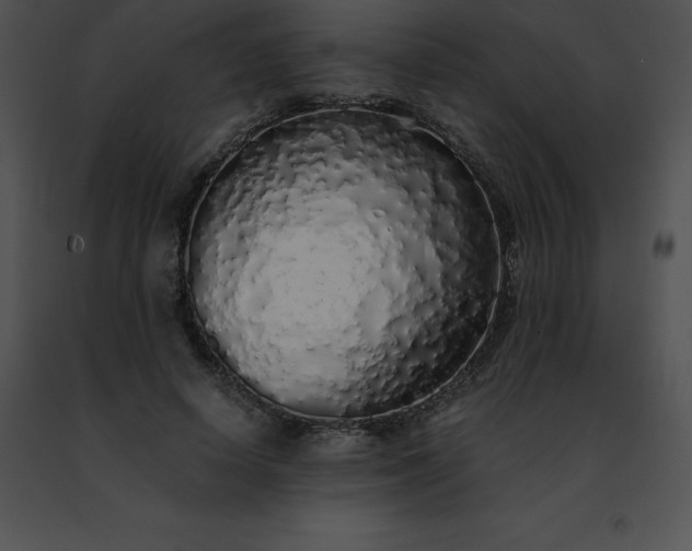 X0000091490642200708301937