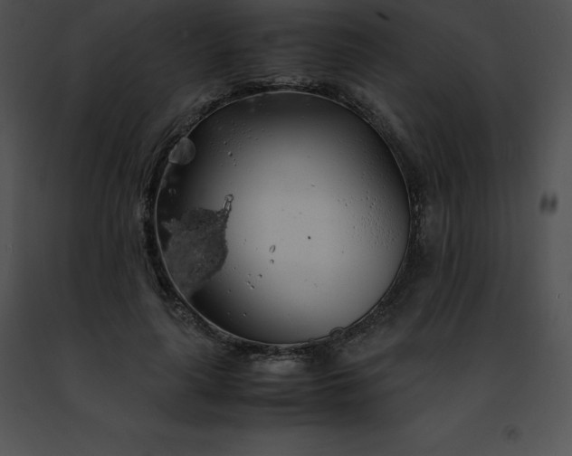 X0000091490643200708301937