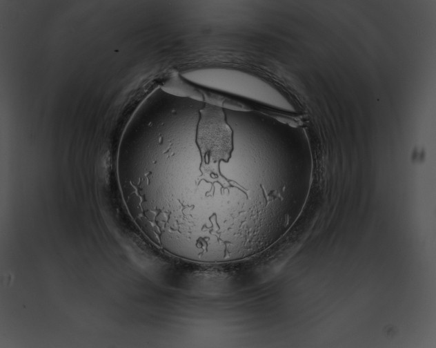 X0000091490644200708301937