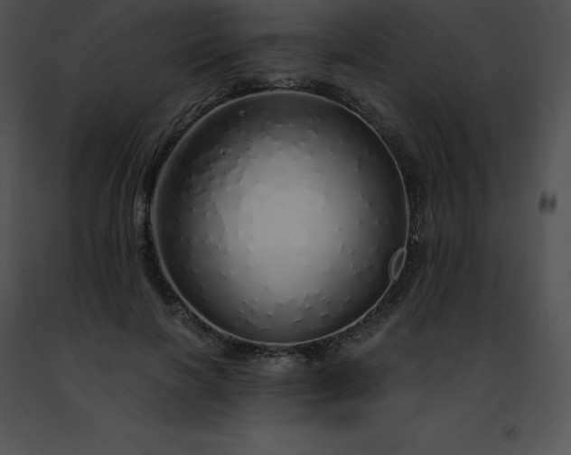 X0000091490646200708301937