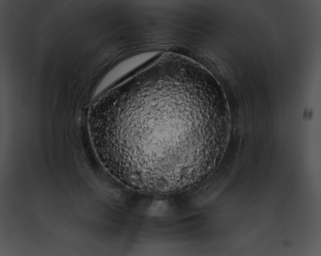 X0000091490647200708301937