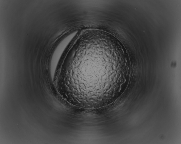 X0000091490648200708301937