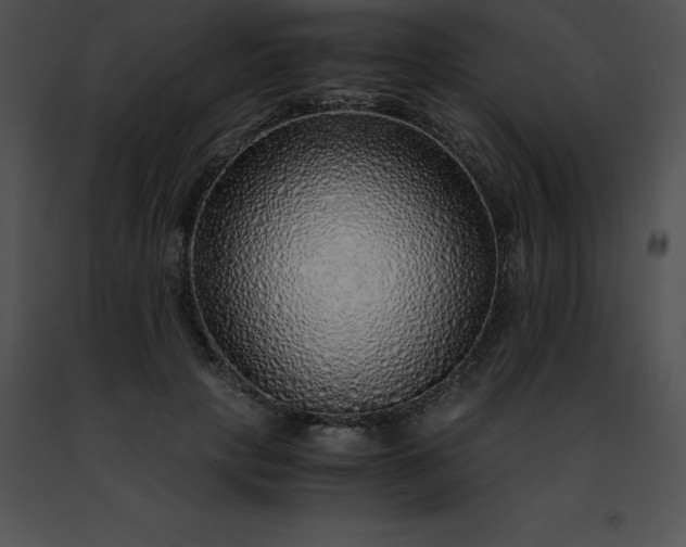 X0000091490649200708301937