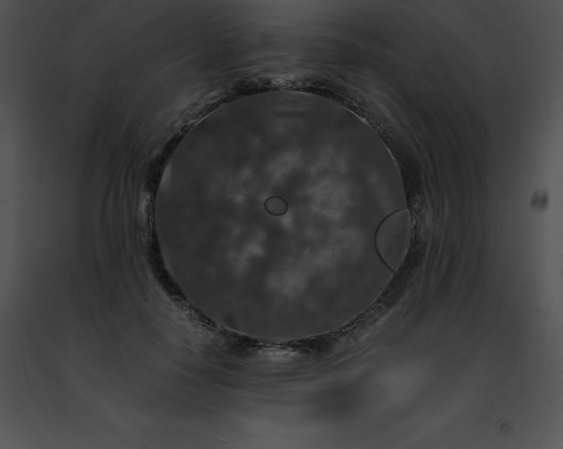 X0000091490650200708301937