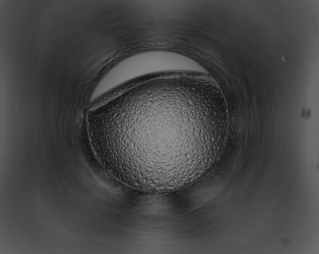 X0000091490652200708301937