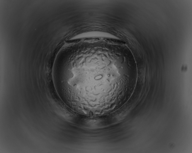 X0000091490653200708301937