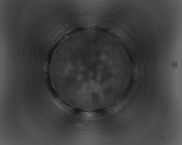 X0000091490654200708301937