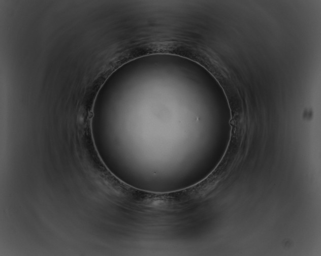 X0000091490655200708301937