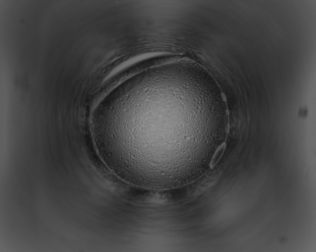 X0000091490656200708301937