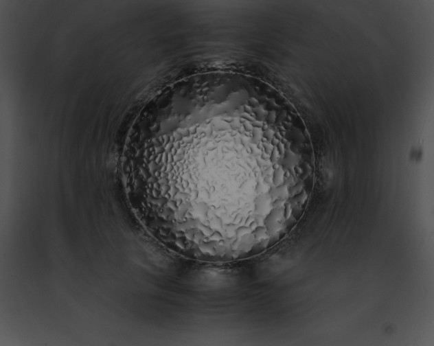 X0000091490657200708301937