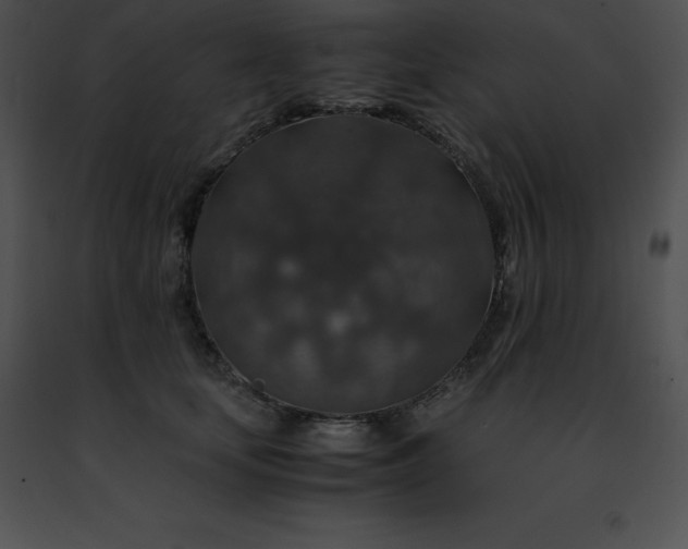 X0000091490659200708301937