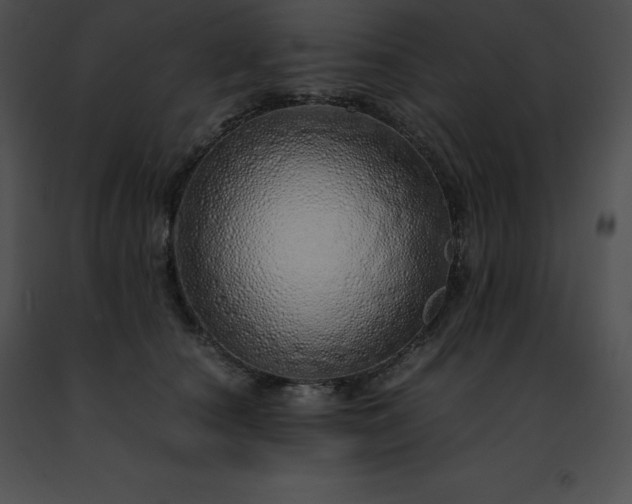 X0000091490660200708301937