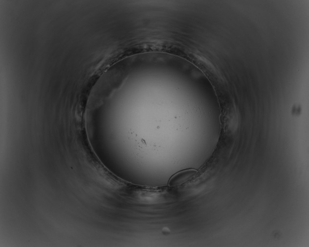 X0000091490661200708301937