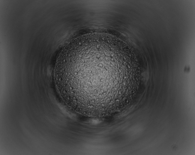 X0000091490662200708301937