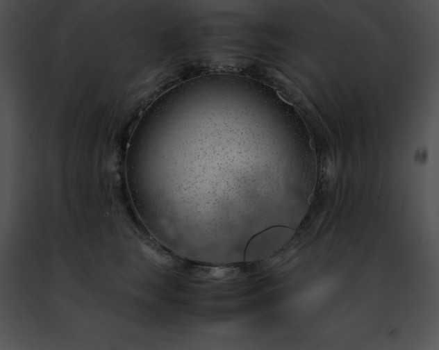 X0000091490663200708301937