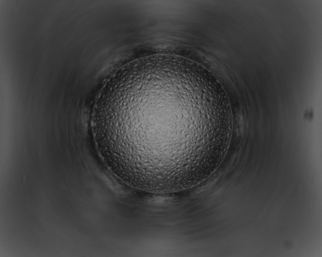 X0000091490664200708301937