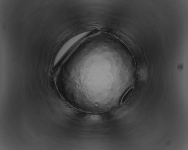 X0000091490665200708301937